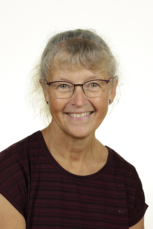 Karin Holt 