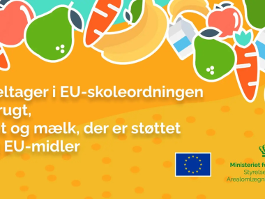 EU banner